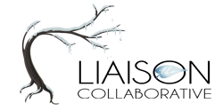 The Liaison Collabortive